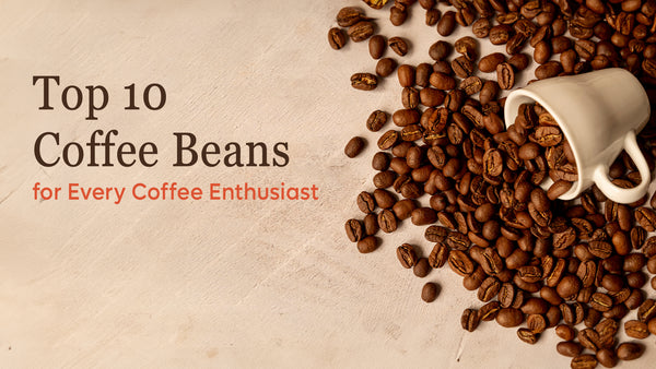 Top 10 Coffee Beans: A Guide for Every Coffee Enthusiast